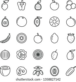 thin line vector icon set - peper vector, omelette, squash, quince, tasty raspberry, blueberries, mulberry, water melon, half of mango, loquat, goji berry, tangerine, plum, lime, kiwi, orange, guawa