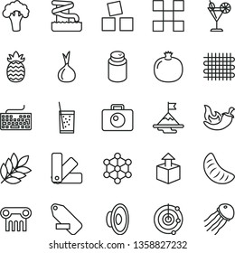 thin line vector icon set - keyboard vector, loudspeaker, remove label, powder, cubes for children, color samples, tile, camera, unpacking, chili, a glass of soda, cocktail, pomegranate, pineapple