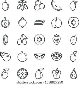 thin line vector icon set - cake slice vector, peper, blueberries, strawberry, apple, half apricot, quince, plum, cornels, medlar, tasty mulberry, of melon, mango, loquat, goji berry, water, cherry