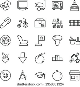 thin line vector icon set - camera vector, downward direction, car child seat, safety pin, toy sand set, bicycle, star gear, cardboard box, mushroom, birthday cake, popcorn, ripe peach, tangerine
