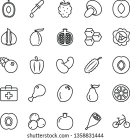 thin line vector icon set - first aid kit vector, porcini, chicken leg, grill, blueberries, honeycombs, half apricot, pomegranate, squash, plum, blackberry, loquat, delicious, peach, juicy lemon