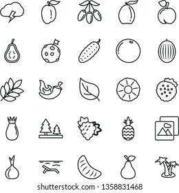 thin line vector icon set - picture vector, storm cloud, cucumber, chili, strawberries, a pineapple, pear, peach, branch of grape, rose hip, melon, loquat, goji berry, slice tangerine, ripe plum