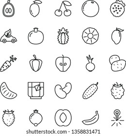 thin line vector icon set - cucumber vector, beet, a glass of tea, strawberries, cherry, pomegranate, tasty apple, medlar, blackberry, raspberry, mango, half peach, slice tangerine, loquat, lemon