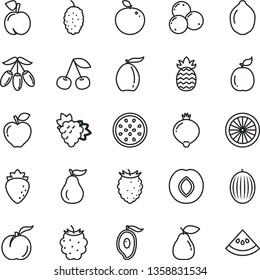 thin line vector icon set - cherry vector, peach, ripe, branch of grape, pear, red apple, plum, raspberry, medlar, blackberry, tasty, blueberries, mulberry, melon, half mango, loquat, goji berry