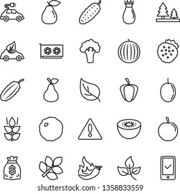 thin line vector icon set - warning vector, cabbage, cucumber, strawberries, pear, mint, rose hip, water melon, tasty plum, passion fruit, kiwi, ripe pepper, hot, broccoli, leaves, leaf, forest