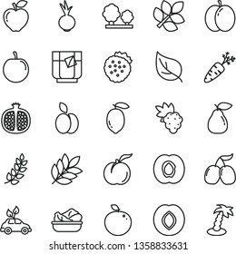 thin line vector icon set - lettuce in a plate vector, beet, glass of tea, strawberries, apple, ripe peach, half apricot, pomegranate, grape, pear, red, plum, tasty cornels, lemon, delicious, carrot