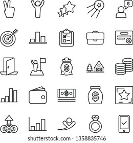 thin line vector icon set - survey vector, coins, portfolio, bar chart, wallet, money, cash, growth graph, man hands up, with flag, target, star, certificate, diamond ring, exit door, bag, dollar