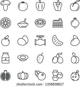 thin line vector icon set - eggs vector, mushroom, a bowl of buckwheat porridge, plate milk, peper, jar jam, blueberries, apple, honeycombs, ripe peach, half pomegranate, apricot, medlar, cornels