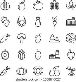 thin line vector icon set - tomato vector, carrot, half pomegranate, grape, squash, rose hip, mulberry, tasty, cornels, delicious plum, guava, ripe pineapple, physalis, pepper, garlic, broccoli