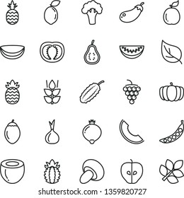 thin line vector icon set - porcini vector, a pineapple, mint, large grape, tasty apple, medlar, slice of melon, water, tamarillo, sour lime, guava, piece coconut, half, ripe, part, tomato, onion