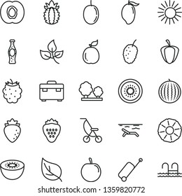 thin line vector icon set - summer stroller vector, suitcase, bottle of soda, strawberry, half apricot, raspberry, blackberry, tasty mulberry, water melon, mango, plum, passion fruit, kiwi, guava