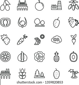 thin line vector icon set - a pineapple vector, mint, grape, branch of, squash, cornels, mulberry, tasty, goji berry, delicious plum, juicy lemon, physalis, half tomato, garlic, carrot, radish