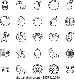 thin line vector icon set - orange slice vector, melon, water, mango, half of, tangerine, lime, kiwi, passion fruit, tamarillo, sour, guava, pineapple, grapefruit, persimmon, hotel, beach, palm tree