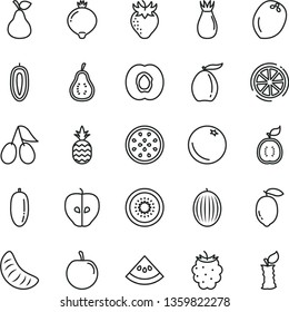thin line vector icon set - a pineapple vector, pear, orange, half apricot, tasty apple, strawberry, rose hip, cornels, medlar, blackberry, melon, loquat, date fruit, slice of tangerine, plum, sweet