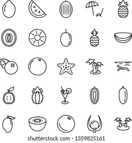 thin line vector icon set - blueberries vector, a pineapple, orange slice, melon, mango, half, date fruit, passion, sweet, lime, kiwi, of guawa, piece coconut, ripe, grapefruit, physalis, beach