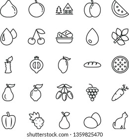 thin line vector icon set - drop vector, eggs, loaf, lettuce in a plate, carrot, pear, orange slice, cherry, apple, grape, large, quince, fig, half of medlar, mango, goji berry, tangerine, stub