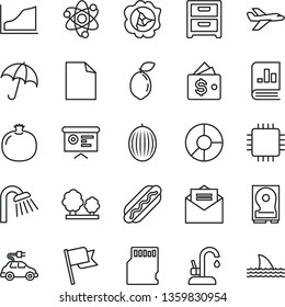 thin line vector icon set - clean sheet of paper vector, shower, kitchen faucet, received letter, umbrella, flag, nightstand, Hot Dog, pomegranate, squash, melon, sour lime, trees, electric car, cpu