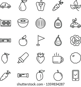thin line vector icon set - pennant vector, construction level, building, cabbage, peper, carrot, cup of tea, squash, apricot, strawberry, water melon, mango, half loquat, ripe plum, tasty, kiwi