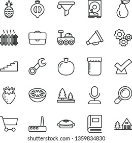 thin line vector icon set - horn vector, pie, jam, a pineapple, pomegranate, strawberry, half of medlar, grapefruit, ripe guava, forest, cast iron radiator, cart, portfolio, water filter, gears, hdd