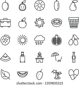 thin line vector icon set - wicker pot vector, rainy cloud, suitcase, bottle of soda, strawberries, half pomegranate, pear, apricot, cornels, tasty mulberry, water melon slice, date fruit, passion