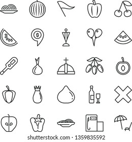 thin line vector icon set - wind direction indicator vector, cross, electronic thermometer e, colored air balloons, onion, slices of, peper, cherry, tasty apple, rose hip, fig, water melon, slice