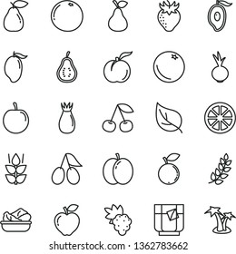 thin line vector icon set - lettuce in a plate vector, beet, glass of tea, pear, orange, mint, cherry, ripe peach, apple, grape, red, strawberry, rose hip, cornels, blueberry, mango, half, leaf