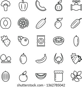 thin line vector icon set - cucumber vector, jam, blueberries, grape, branch of, quince, apricot, melon, slice, half peach, water, date fruit, banana, tamarillo, lemon, guawa, grapefruit, physalis