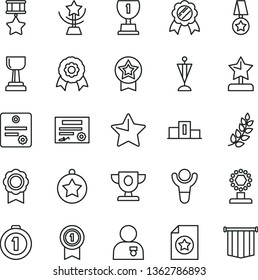 thin line vector icon set - star vector, medal, patente, winner, laurel branch, pedestal, prize, award, cup, gold, reward, man with, pennant, first place, hero, certificate, flag