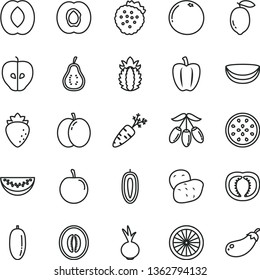 thin line vector icon set - beet vector, strawberries, apple, half apricot, tasty, raspberry, goji berry, peach, melon, water slice, date fruit, plum, sweet, lemon, of passion, orange, piece coconut