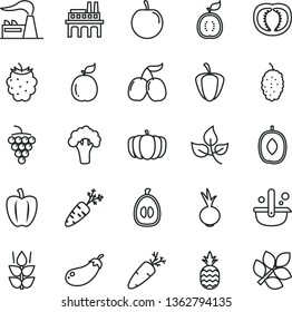 thin line vector icon set - beet vector, carrot, a pineapple, mint, large grape, blackberry, mulberry, tasty cornels, delicious plum, half loquat, guava, of guawa, tomato, Bell pepper, ripe, pumpkin