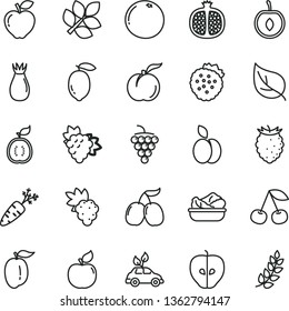 thin line vector icon set - lettuce in a plate vector, strawberries, apple, cherry, ripe peach, half pomegranate, grape, branch of, large, apricot, red, tasty, rose hip, raspberry, cornels, plum