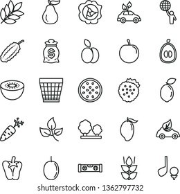 thin line vector icon set - wicker pot vector, building level, peper, strawberries, apple, mint, squash, mango, half loquat, tasty plum, passion fruit, kiwi, of, sour lime, ripe guava, carrot, trees