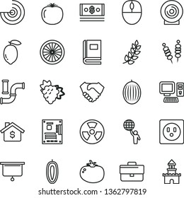 thin line vector icon set - briefcase vector, lens, fried vegetables on sticks, tomato, branch of grape, melon, sweet date fruit, lemon, half orange, persimmon, water pipes, socket, radiation hazard