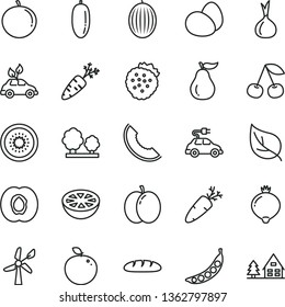 thin line vector icon set - eggs vector, loaf, carrot, strawberries, cherry, apple, half apricot, medlar, melon, slice of, date fruit, tangerine, kiwi, delicious, grapefruit, ripe guava, onion, peas