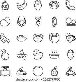 thin line vector icon set - eggs vector, hot porridge, a plate of fruit, peach, branch grape, raspberry, strawberry, slice melon, tangerine, half loquat, sweet date, bananas, kiwi, guawa, coconut
