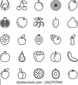 thin line vector icon set - blueberries vector, strawberries, apple, orange, cherry, pomegranate, half, apricot, red, fig, of medlar, mulberry, slice melon, goji berry, delicious plum, tasty, stub