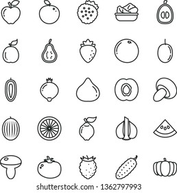 thin line vector icon set - mushroom vector, porcini, lettuce in a plate, cucumber, tomato, strawberries, half apricot, quince, red apple, raspberry, fig, medlar, tasty, melon, loquat, passion fruit