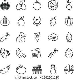 thin line vector icon set - tomato vector, beet, carrot, half pomegranate, branch of grape, squash, rose hip, cornels, blackberry, mulberry, tasty, slice tangerine, plum, guava, physalis, garlic