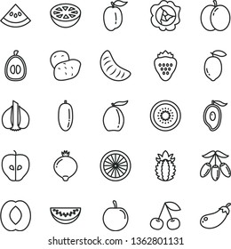 thin line vector icon set - strawberry vector, cherry, apple, squash, tasty, medlar, half of mango, loquat, goji berry, peach, water melon slice, date fruit, tangerine, ripe plum, lemon, kiwi
