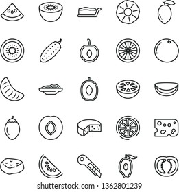 thin line vector icon set - stationery knife vector, piece of cheese, slices onion, cake slice, meat, cucumber, plum, water melon, half mango, delicious, tangerine, cherry, lemon, kiwi, tamarillo