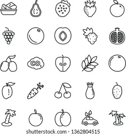 thin line vector icon set - lettuce in a plate vector, strawberries, orange, cherry, apple, half pomegranate, grape, large, tasty, plum, strawberry, rose hip, mulberry, cornels, ripe, delicious