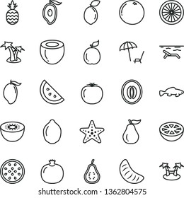 thin line vector icon set - small fish vector, a pineapple, orange slice, pomegranate, mango, half of, melon, tangerine, lime, kiwi, passion fruit, sour, guava, coconut, grapefruit, ripe, part