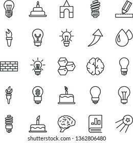 thin line vector icon set - matte light bulb vector, box of bricks, cake, birthday, brickwork, saving, drawing, honeycombs, drop, energy, book on statistics, brain, flame torch, arrow up, idea