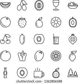 thin line vector icon set - a plate of fruit vector, peper, cup tea, glass soda, bottle, orange, cherry, half apricot, quince, plum, cornels, medlar, blackberry, delicious, melon, water slice, date