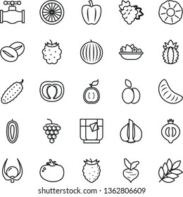 thin line vector icon set - a plate of fruit vector, cucumber, tomato, coffee beans, glass tea, apple, branch grape, large, half medlar, blackberry, tasty raspberry, water melon, slice tangerine