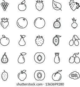 thin line vector icon set - beet vector, pear, orange, ripe peach, half apricot, branch of grape, large, red apple, plum, strawberry, rose hip, cornels, blackberry, tasty raspberry, mulberry, mango