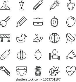 thin line vector icon set - graphite pencil vector, horn, nappy, baby duckling, yule, key, stationery knife, temperature, traffic signal, earth, cucumber, cup of popcorn, delicious plum, tamarillo