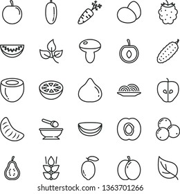 thin line vector icon set - deep plate with a spoon vector, eggs, onion, mushroom, cucumber, mint, apple, half apricot, tasty, fig, blackberry, blueberries, water melon slice, date fruit, plum, leaf