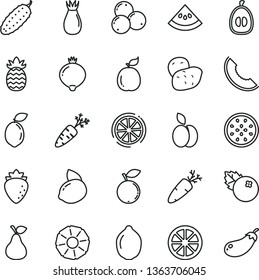 thin line vector icon set - cucumber vector, carrot, blueberries, apple, pear, raspberry, rose hip, medlar, blueberry, slice of melon, half loquat, yellow lemon, juicy, lime, passion fruit, sour
