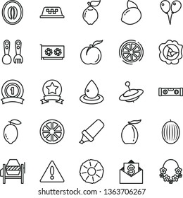 thin line vector icon set - warning vector, plastic fork spoons, yule, colored air balloons, concrete mixer, building level, ripe peach, squash, quince, melon, loquat, half, lemon, yellow, juicy